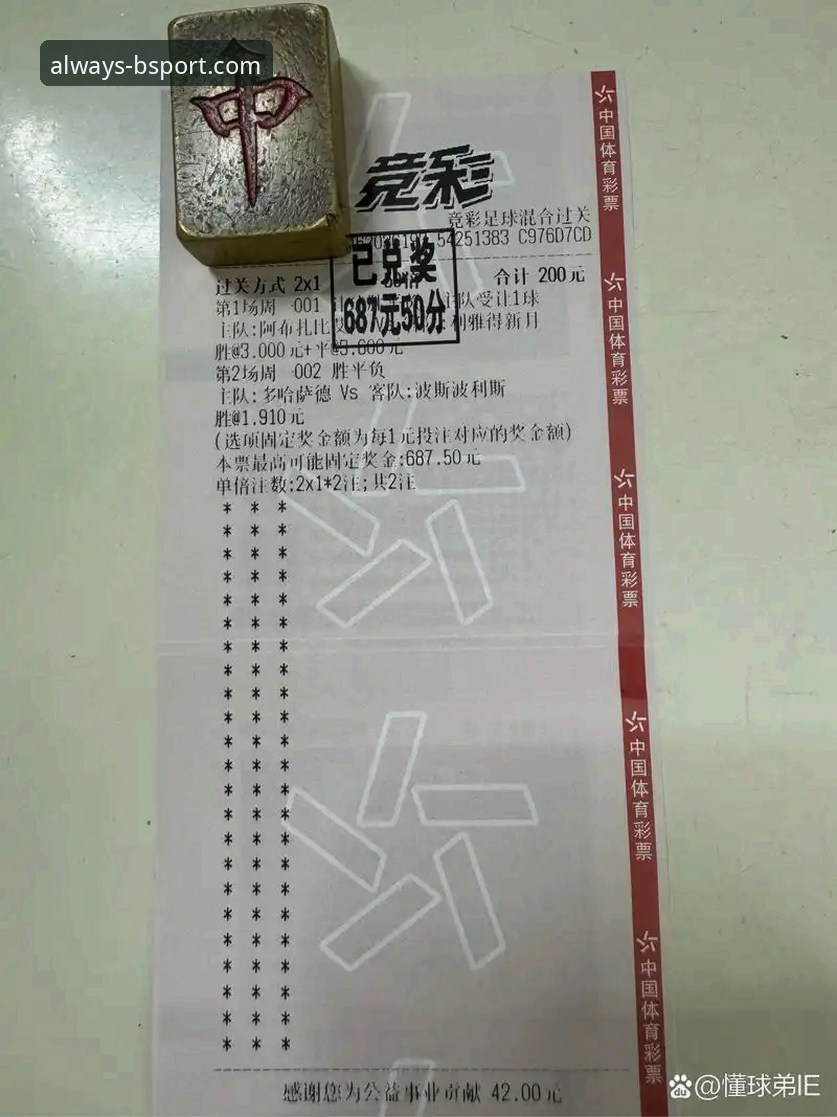 资深用户分享：B体育最新版本实战经验，从下载到赛事投注全流程解析